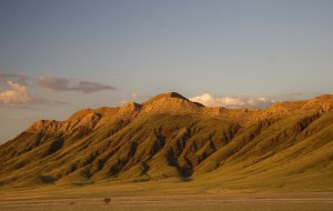 ustr-2010-0003-00241 photo by <a href="http://www.adavies.org">Andrew Davies</a>