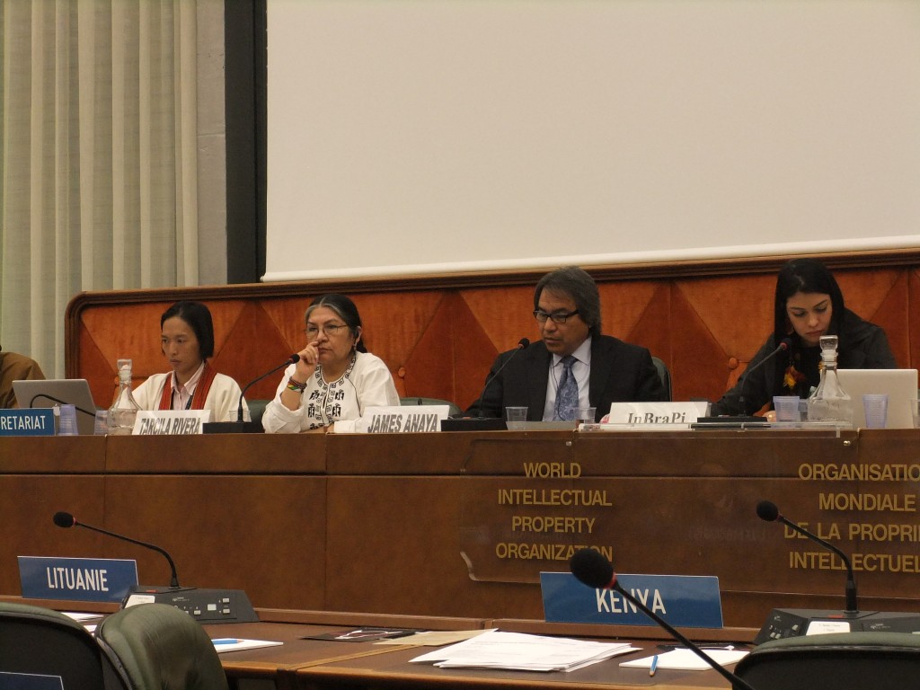 United Nations Special Rapporteur on the Rights of Indigenous People