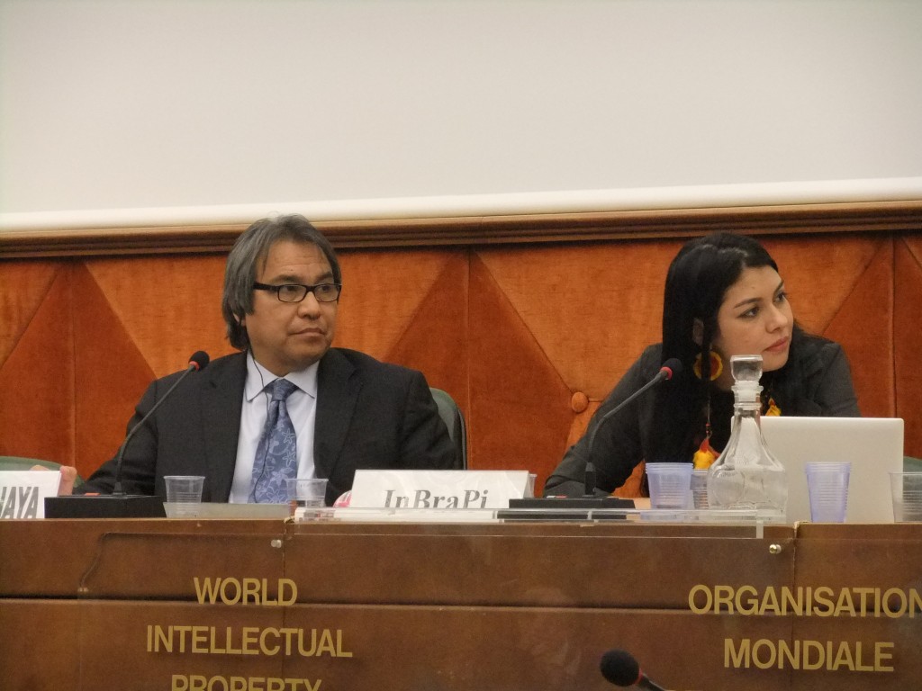 United Nations Special Rapporteur on the Rights of Indigenous People