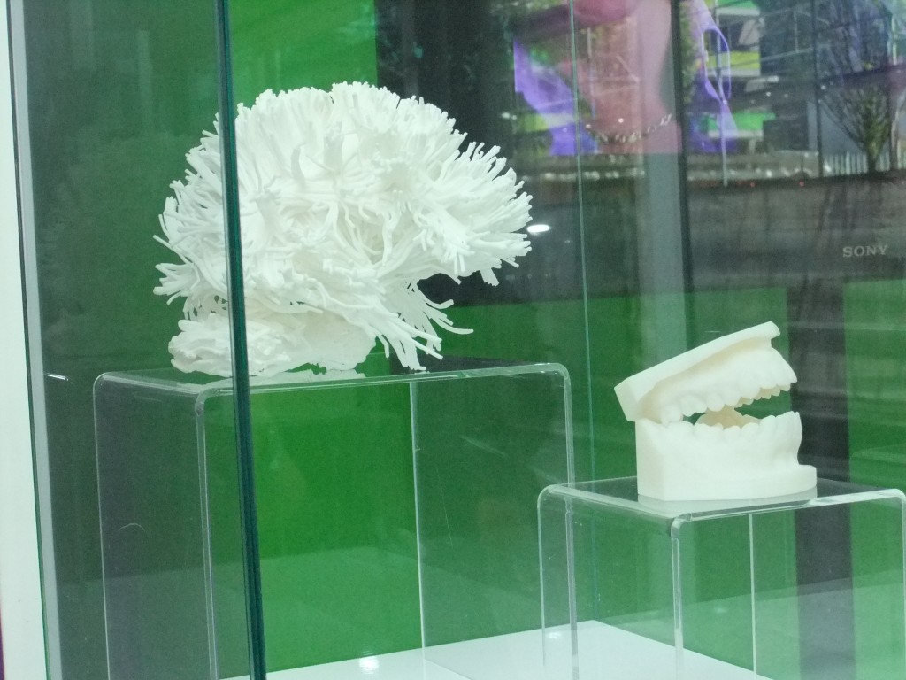 Human white matter fibers, first accurate model of the wiring of the human brain. (Photo Credit: Catherine Saez, IP-Watch)