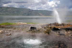 Bogoria Geyser