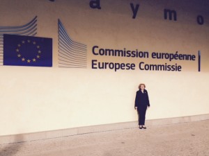 The author outside the European Commission