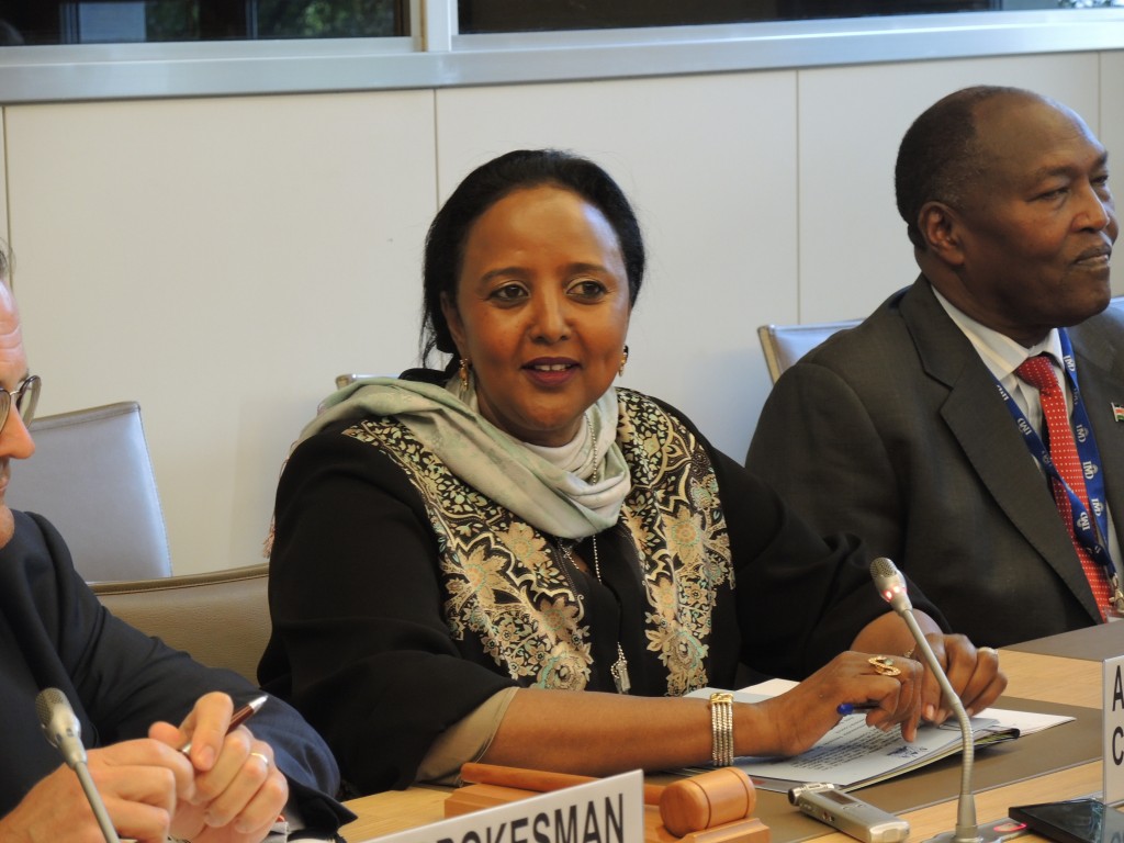 Ambassador Amina Mohamed speaks at WTO