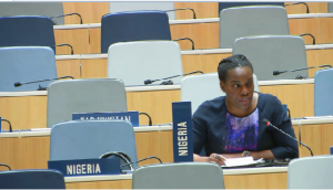 African Group delegate makes its plea