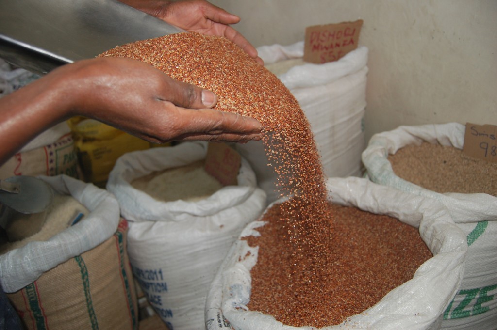 Finger millet