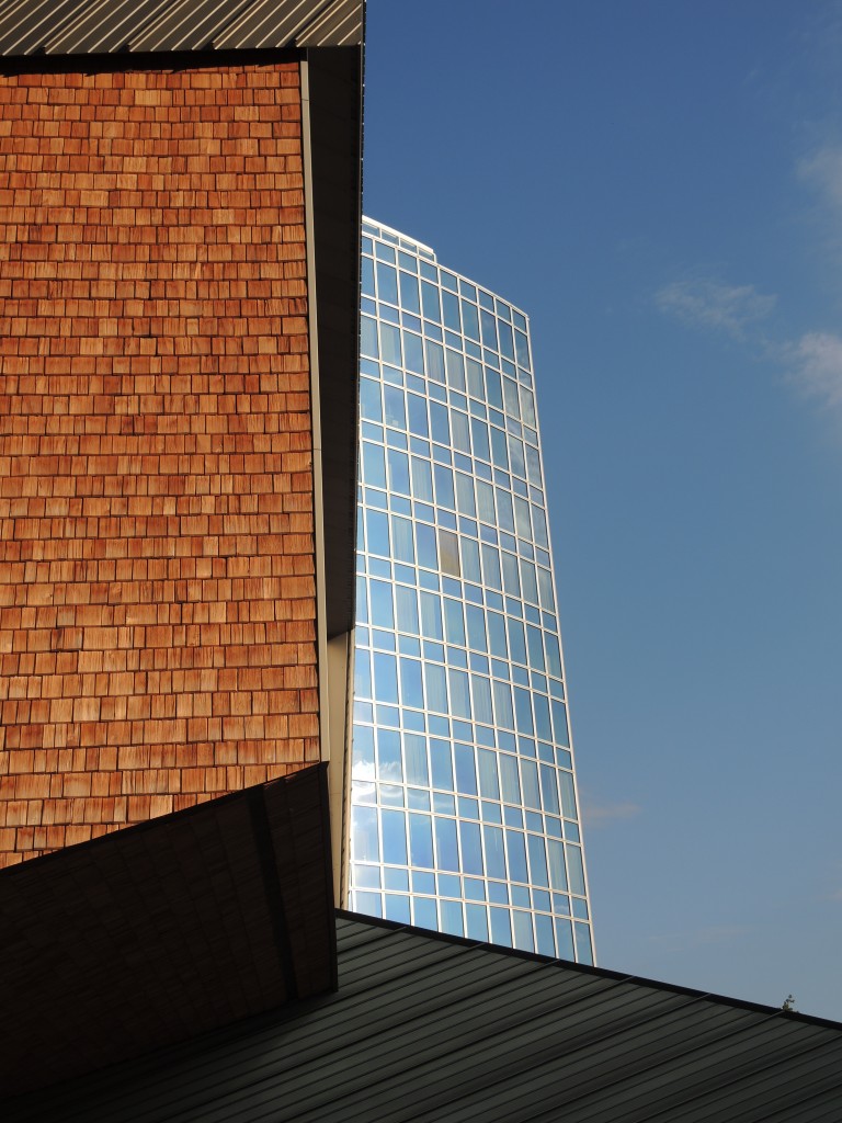 WIPO - Catherine Saez (13)