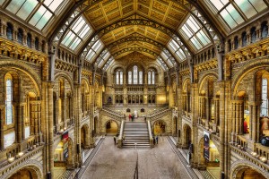 Natural History Museum, London