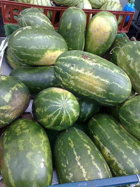 Water Melon