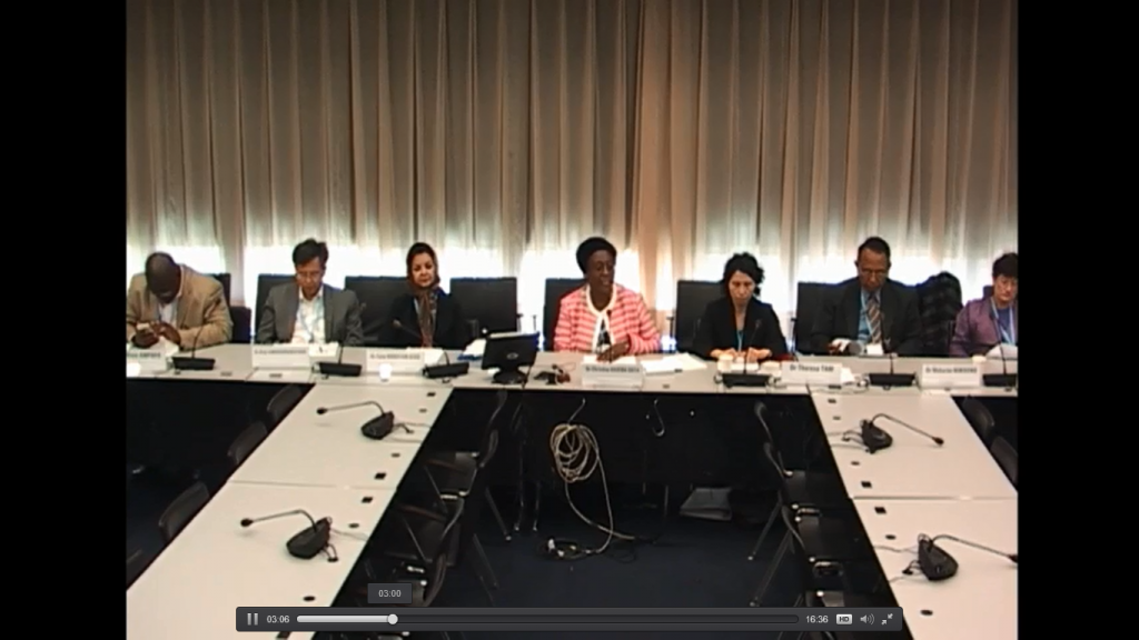 Chair Christine Mwelwa Kaseba-Sata briefs on the outcome