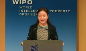 Hong JuYang, director of the Legal Affairs Department of the China State Intellectual Property Office