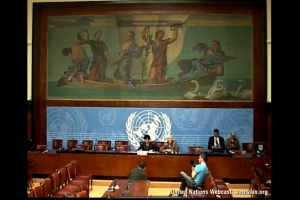 Margaret Chan speaks to press at the UN Palais in Geneva