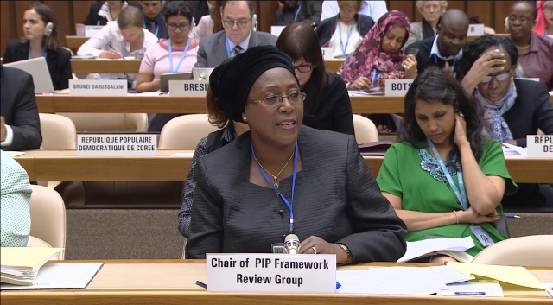 Christine Mwelwa Kaseba-Sata, chair of the PIP Framework Review Group