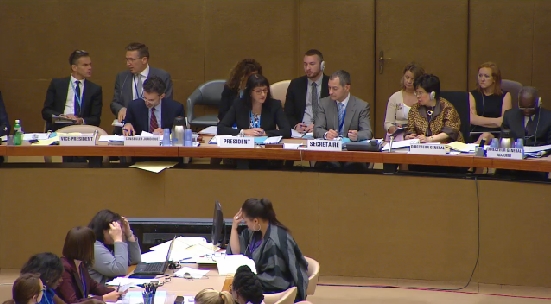 Committee at World Health Assembly 2016