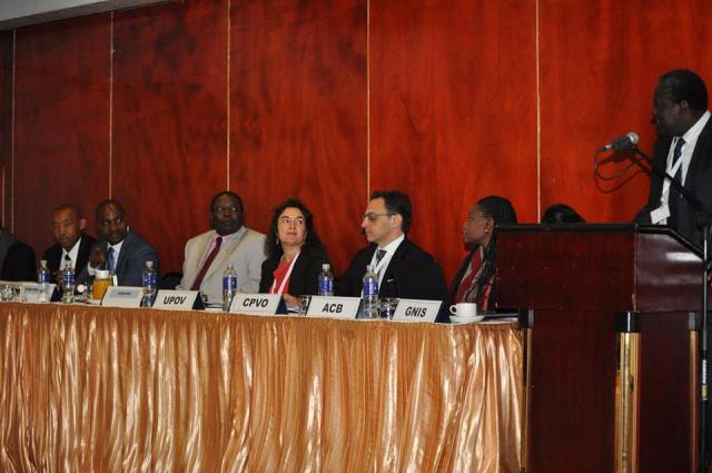 Experts in a panel discussion session (Courtesy of ARIPO)