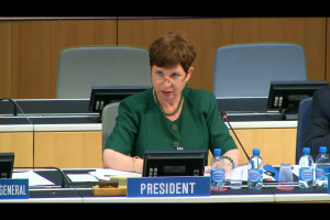 WIPO SCP Chair Bucura Ionescu