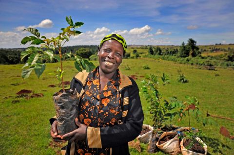 A community leader in Kenya plants a tree