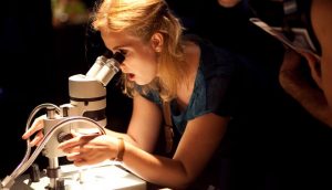 researcher microscope