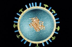 Influenza virus