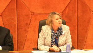 ACE meeting Chair Amanda Lotheringen of the Ministry of Trade and Industry, South Africa.