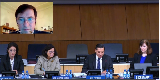 SCCR meeting listening to Sam Ricketson video presentation