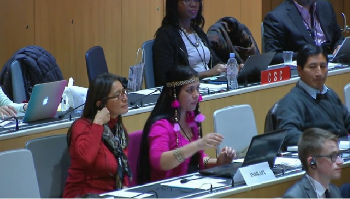 Instituto Indígena Brasilero da Propriedade Intelectual (InBraPi)'s Lucía Fernanda Inacio Belfort Sales (in pink) speaks at WIPO meeting last week